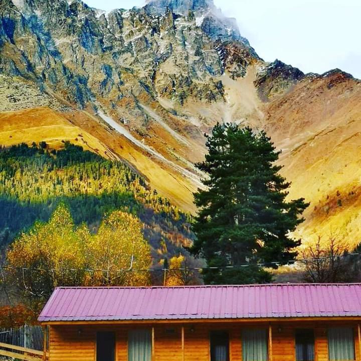 Hotel Ushba Hill Mestia Exterior photo