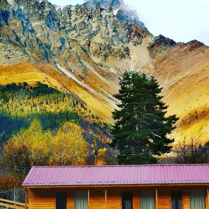 Hotel Ushba Hill Mestia Exterior photo